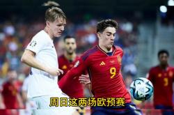 关于欧预赛高光时刻频现，球迷欣喜若狂的信息