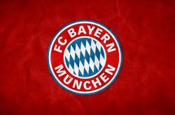 拜仁慕尼黑新任主帅展望未来发展的简单介绍