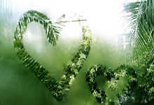 沃尔夫斯堡客场战胜弗赖堡,取得宝贵三分