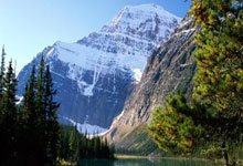 沃尔夫斯堡客场战胜弗赖堡，取得宝贵三分