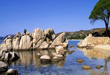 沃尔夫斯堡客场战胜弗赖堡,取得宝贵三分