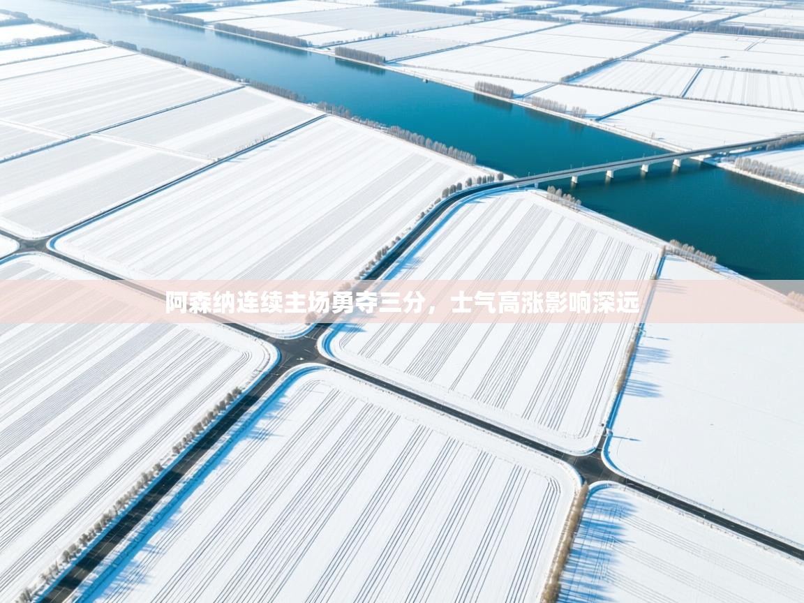 阿森纳连续主场勇夺三分，士气高涨影响深远  第2张