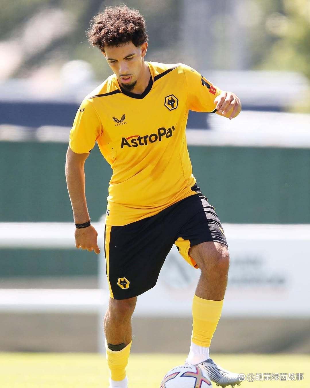 关于伯恩茅斯主场不敌狼队,遭遇两连败的信息 关于伯恩茅斯主场不敌狼队,遭遇两连败的信息